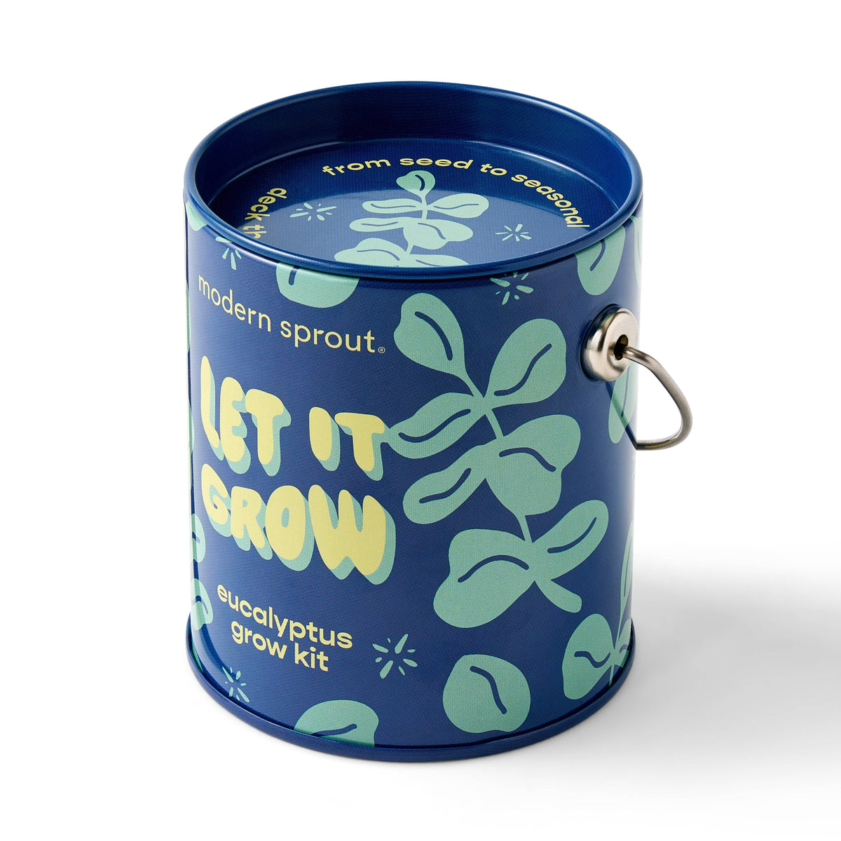 Holiday Colors Grow Kit