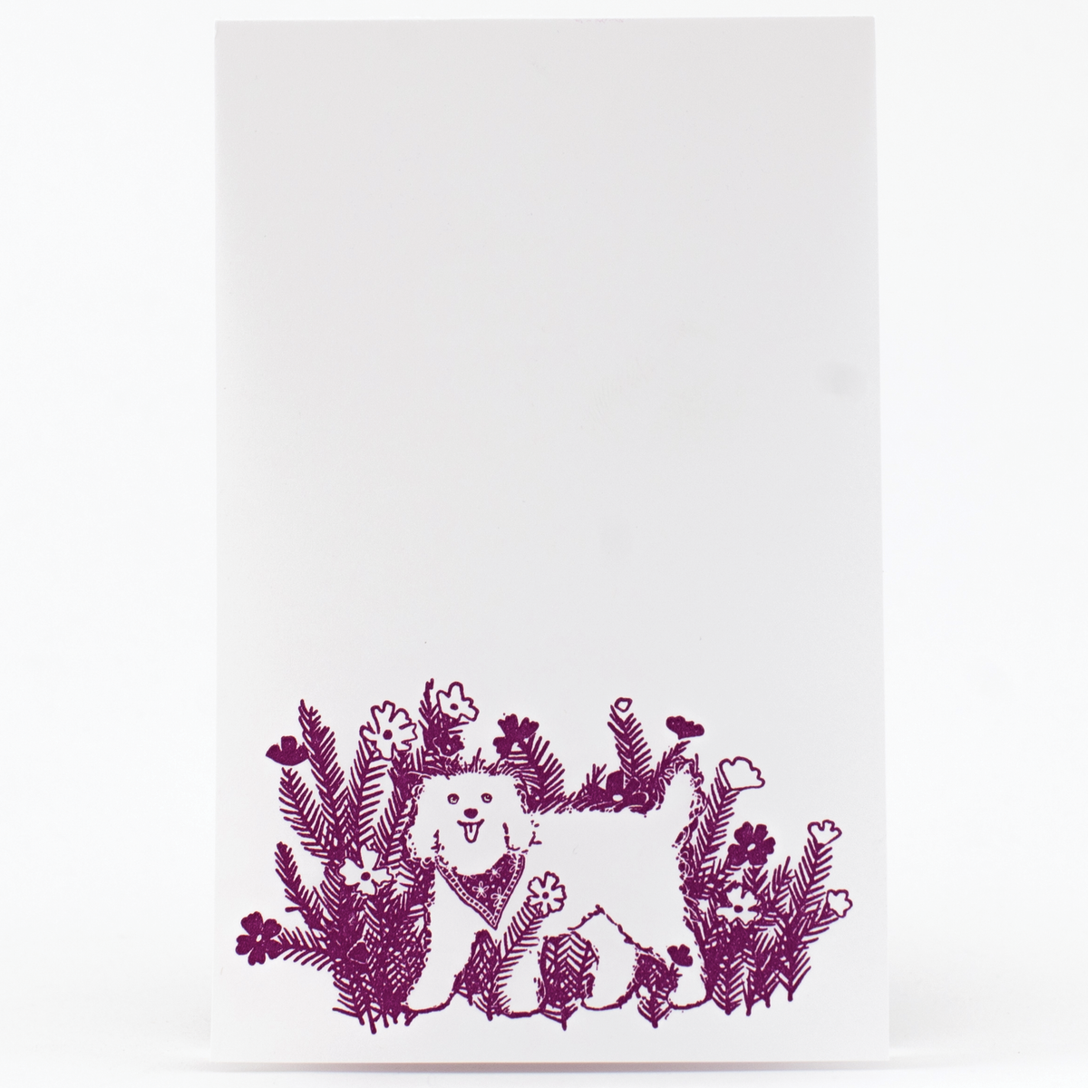purple dog on aer