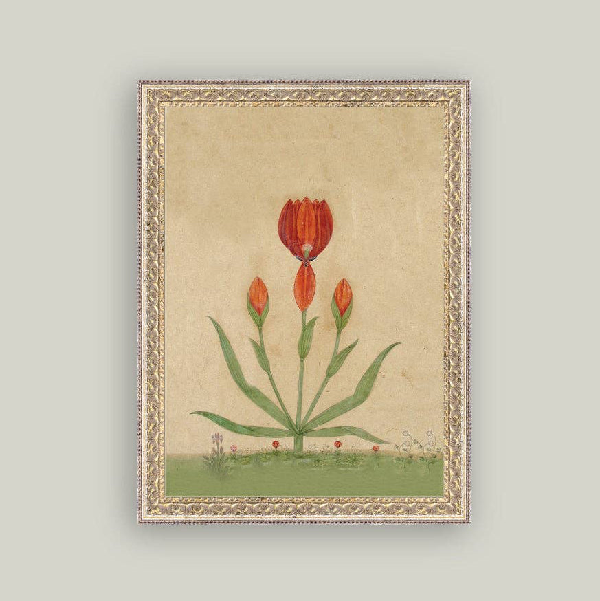 Framed artwork of a red tulip on a beige background