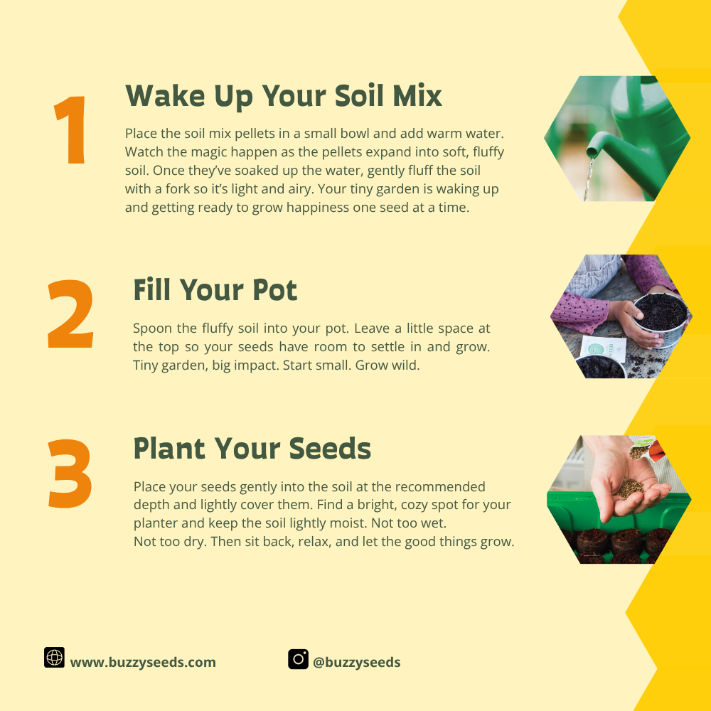 Grilling Herb Grow Kit | Organic Herbs | Window Planter