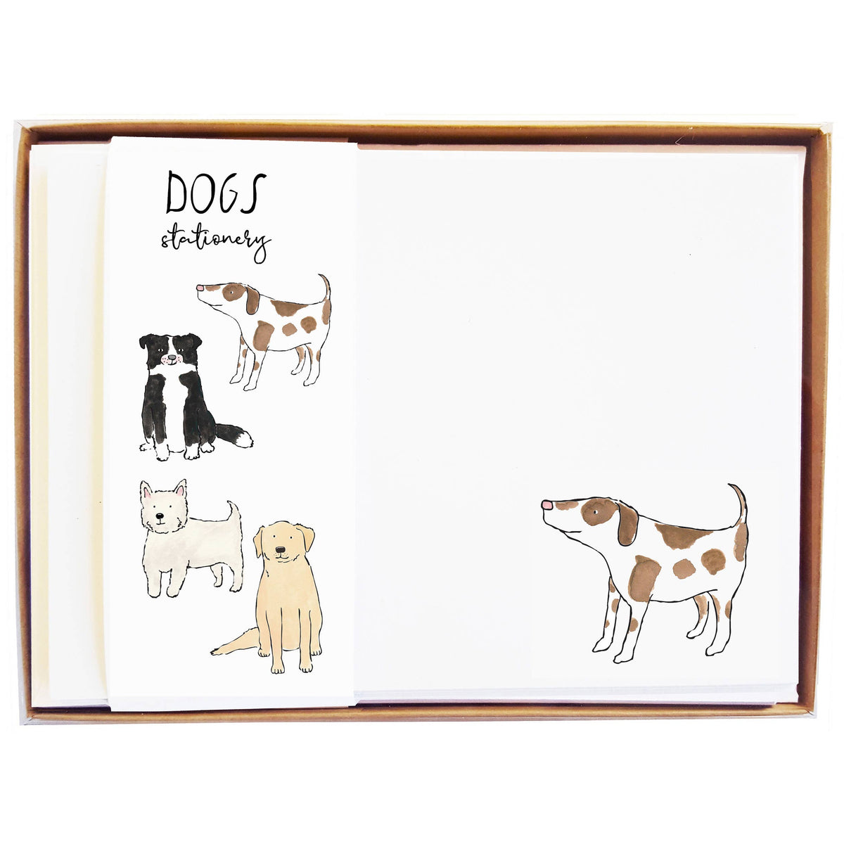 box of notecards w dog design