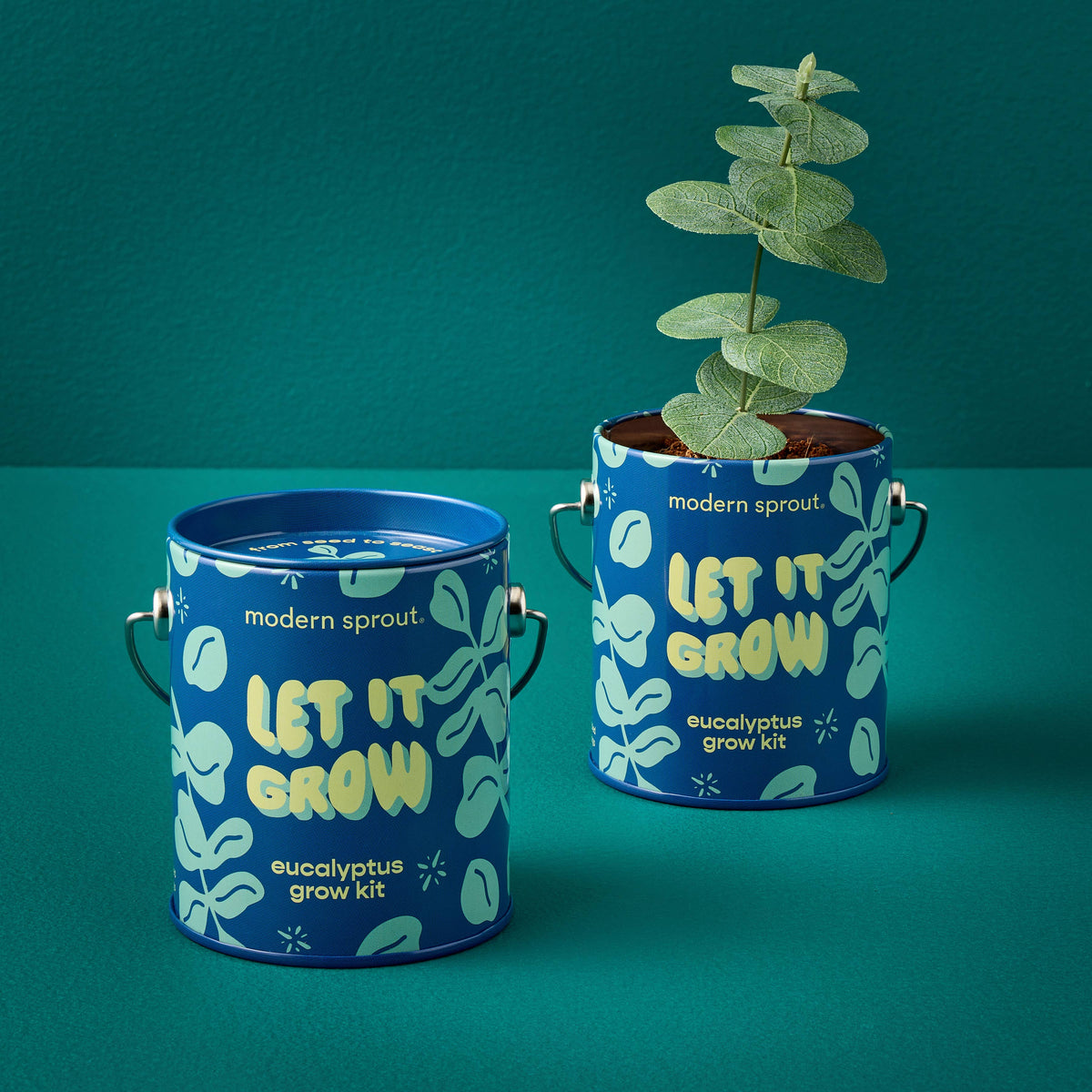 Holiday Colors Grow Kit