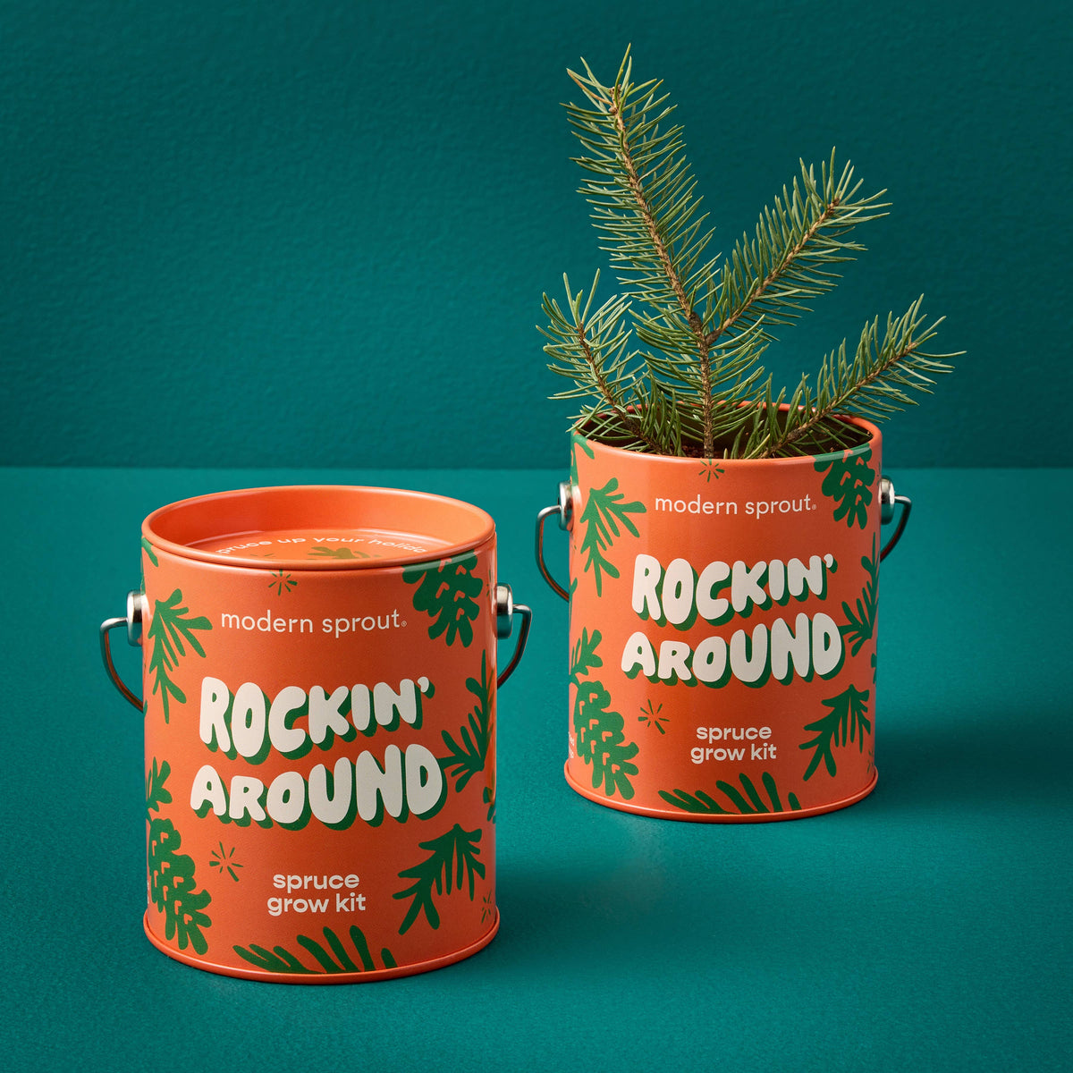 Holiday Colors Grow Kit