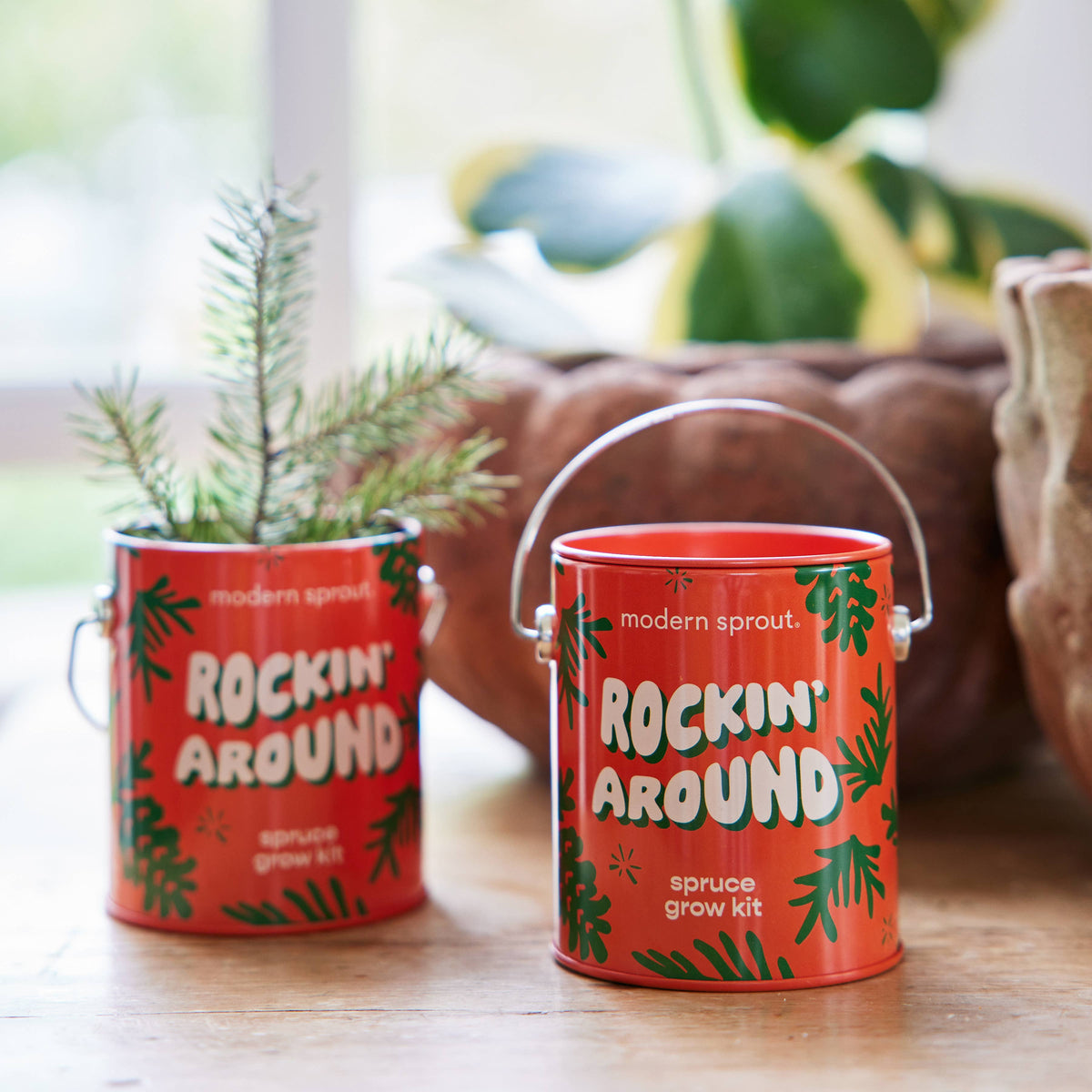 Holiday Colors Grow Kit