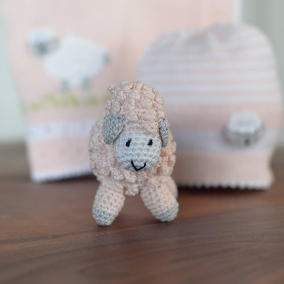 front view of lamb